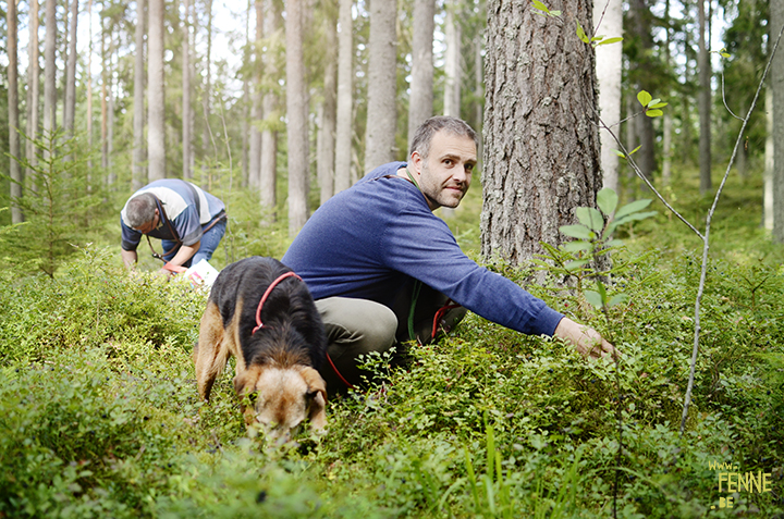 Travel with dogs: Sweden | www.DOGvision.be