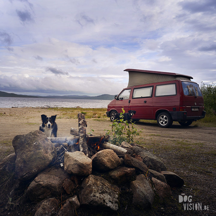 Travel with dogs: Sweden | www.DOGvision.be