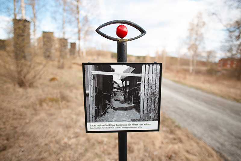 Exploring with dogs in Sweden, Flatenbergs hytta in Smedjebacken Dalarna, www.DOGvision.eu