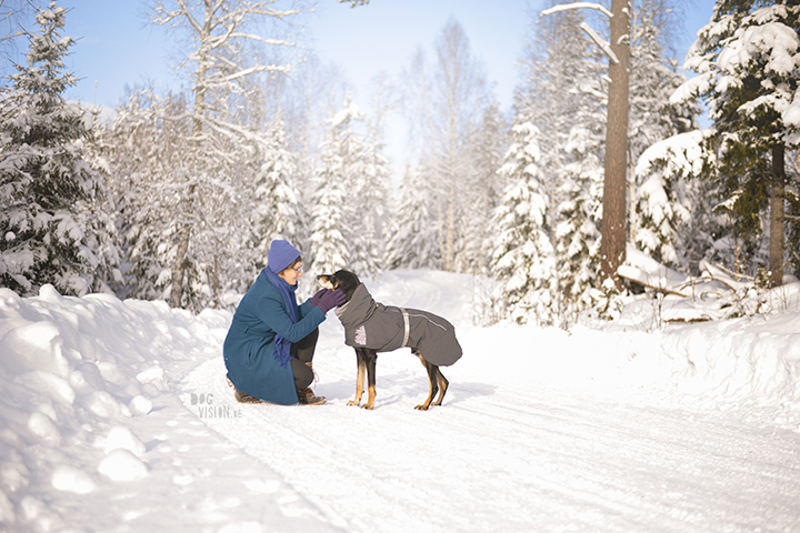 #TongueOutTuesday (06) | Blog over avontuurlijke honden en Zweden | www.DOGvision.be