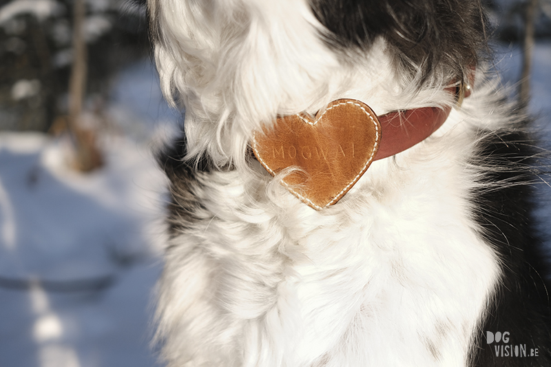 DIY dog Valentine, leather heart for dog collar, creative dog lover, www.DOGvision.eu