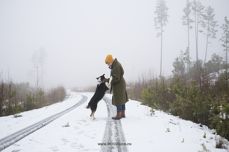 4 years in Sweden, Belgian in Sweden, dog photography, Fenne Kustermans, www.DOGvision.eu