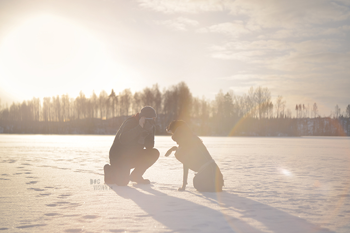 #TongueOutTuesday (02)| hondenfotografie Zweden | www.DOGvision.be