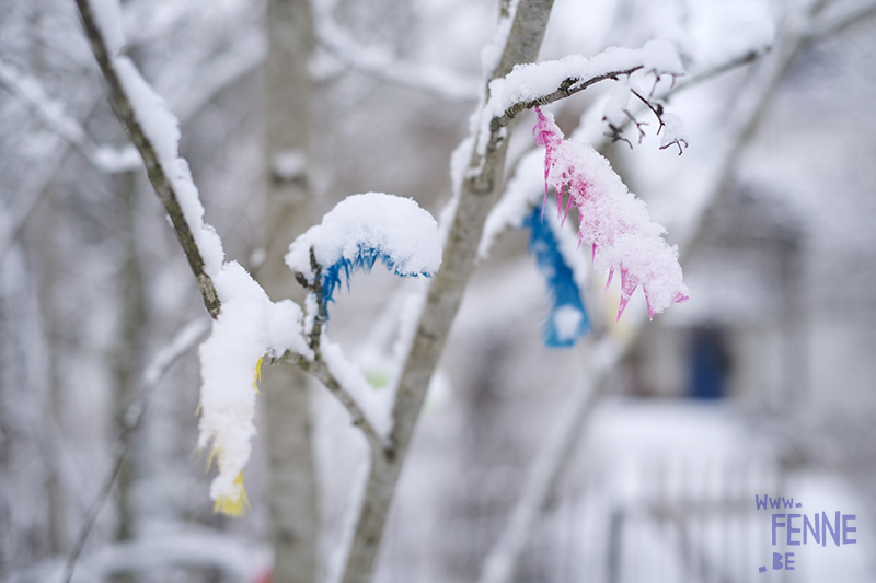 Vårvinter, spring-winter in Sweden, Easter 2021, colored feathers, Swedish Easter tradition, www.DOGvision.eu