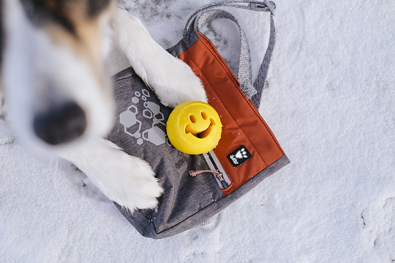 Hiking dog lovers gear, treat bag, Hurtta treat pocket eco, www.DOGvision.eu