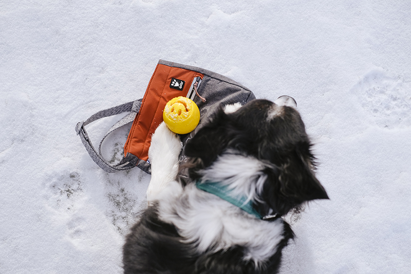 Hiking dog lovers gear, treat bag, Hurtta treat pocket eco, www.DOGvision.eu