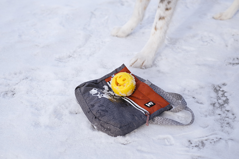 Hiking dog lovers gear, treat bag, Hurtta treat pocket eco, www.DOGvision.eu