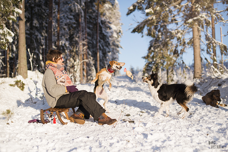 Taking care of your camera in winter, DOGvision dog photography, winter dog photography, www.DOGvision.eu