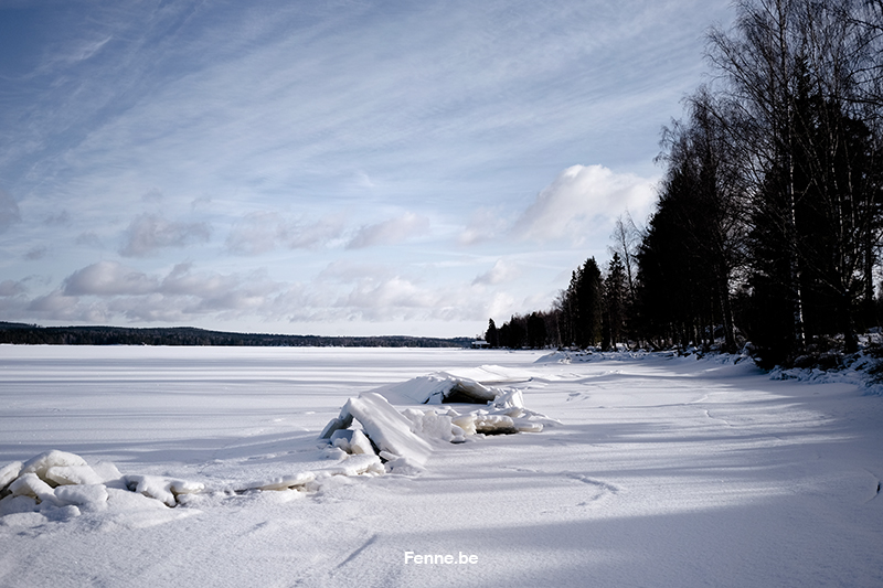 Dog photography Sweden/ Europe. dog coat Hurtta, photographing dogs in snow, Border Collie, Bosnian rescue dog, Greek rescue dog, dog business, dog blog, www.DOGvision.eu