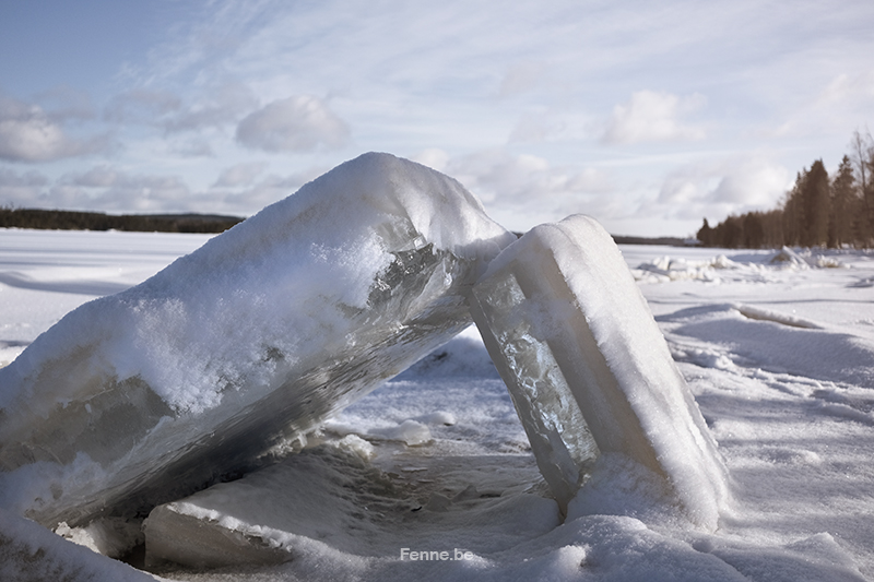 Fujifilm x-t4 performance during Swedish/Nordic winter & dog photography, www.DOGvision.eu