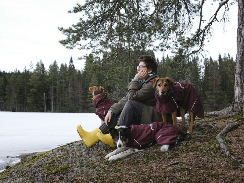 Hurtta Mudventure coat, Hurtta ambassador, hiking with dogs in Sweden, early spring, www.DOGvision.eu
