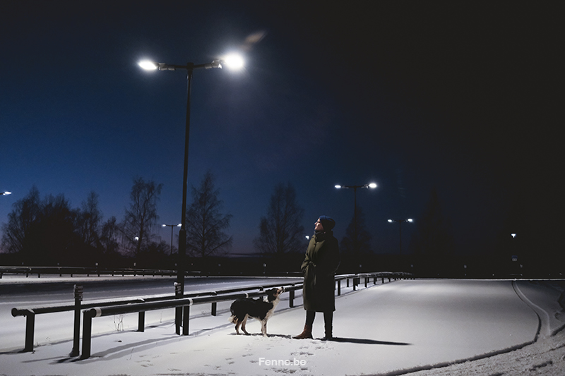Fujifilm x-t4 performance during Swedish/Nordic winter & dog photography, www.DOGvision.eu
