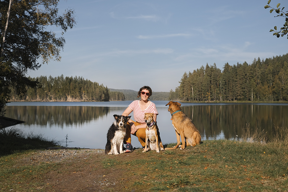 #TongueOutTuesday (37), Dog photography Sweden Dalarna, Border Collie dog pack, rescue dogs, Hurtta Adventurer 2023, www.DOGvision.eu