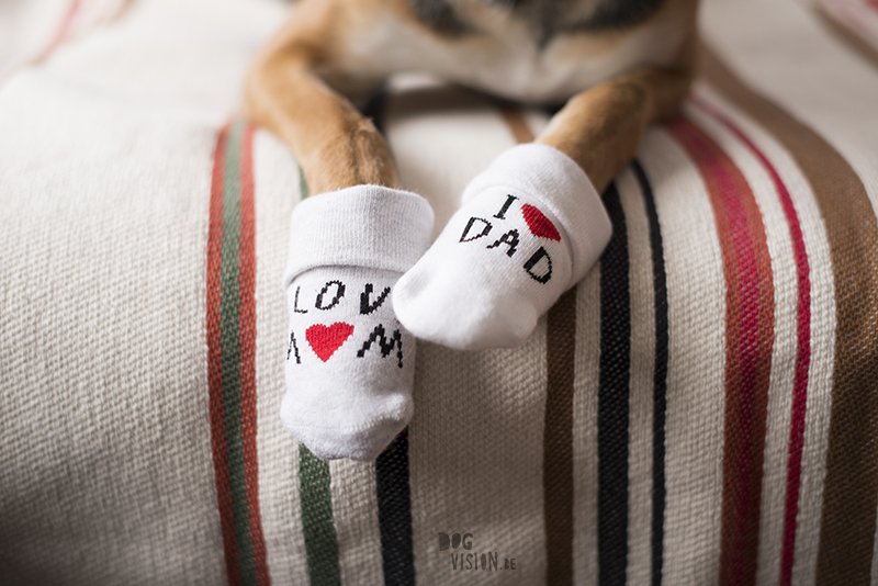 Love mom, love dad, two different socks, www.DOGvision.eu