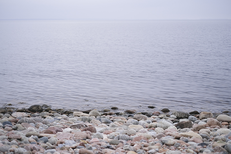 Fossil find in Sweden by www.Fenne.be