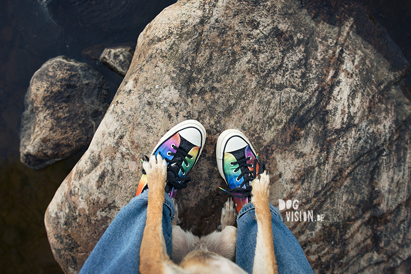 DOGvision.eu dog photography, Fenne Kustermans artist, dog photography in Sweden, Dalarna nature and hiking with dogs, Converse rainbow shoes. wwww.DOGvision.eu