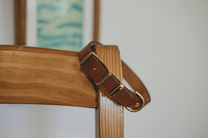 Leather dog collar, diy project, dog blog, www.DOGvision.eu