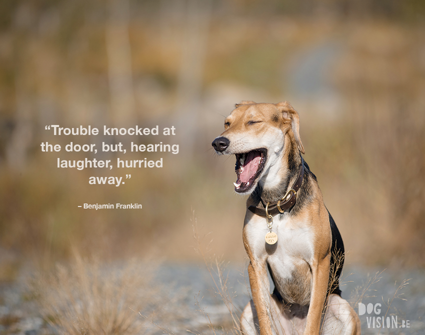 “Trouble knocked at the door, but, hearing laughter, hurried away.” – Benjamin Franklin