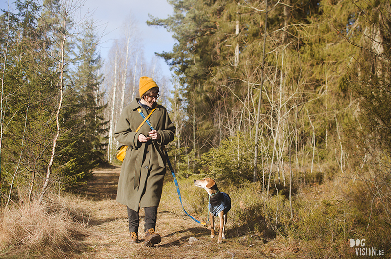 Leash training with Lizzie, Fenne Kustermans dog photography Sweden, www.DOGvision.eu