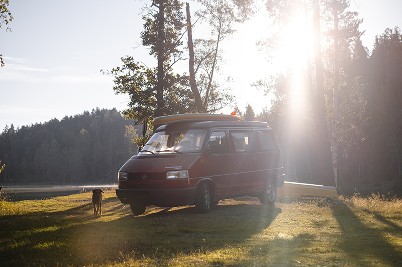 Sup & sunset, camping with the Volkswagen California in Sweden, paddling the lake, www.Fenne.be /www.DOGvision.eu