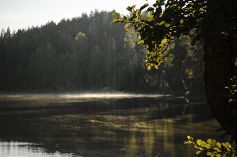 Sup & sunset, camping with the Volkswagen California in Sweden, paddling the lake, www.Fenne.be /www.DOGvision.eu