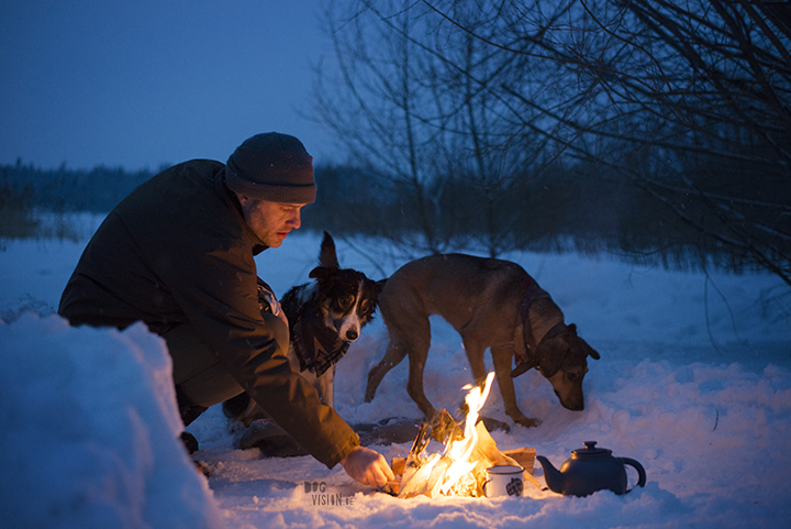 #TongueOutTuesday (08)| dog photography blog, adventures, Sweden, www.dogvision.eu