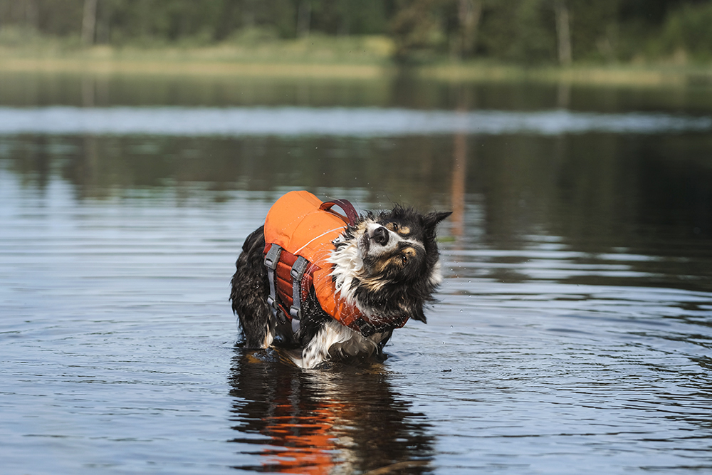 Hurtta adventurer 2023, life vests for dogs, dogs on adventures, lake swimming with dogs, www.DOGvision.eu