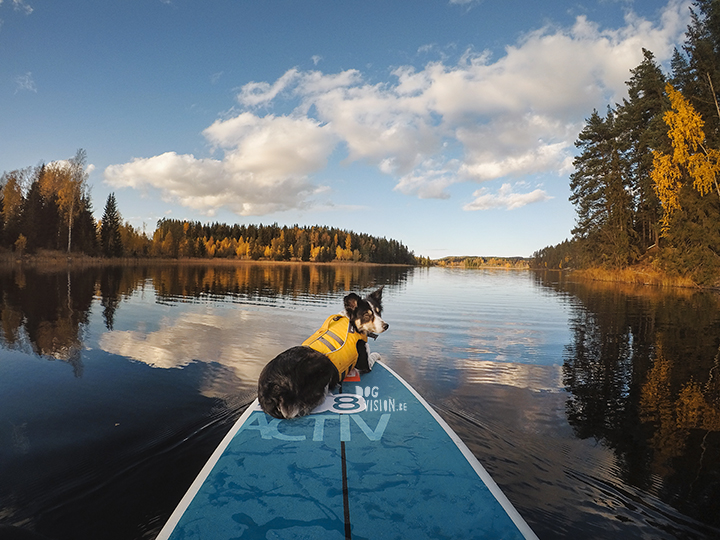 Autumn SUP | Ruffwear | Red Paddle Co | GoPro | blog on www.DOGvision.eu