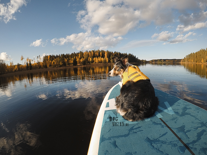 Autumn SUP | Ruffwear | Red Paddle Co | GoPro | blog on www.DOGvision.eu