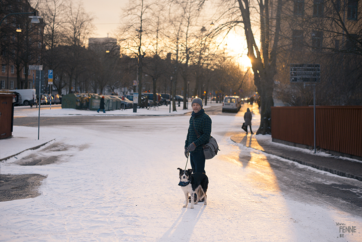 Training in Stockholm with Oona and Mogwai | dog photography blog| www.DOGvision.eu