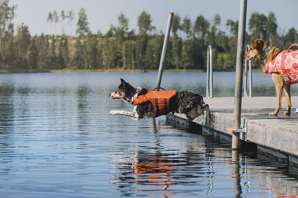 Hurtta adventurer 2023, life vests for dogs, dogs on adventures, lake swimming with dogs, www.DOGvision.eu