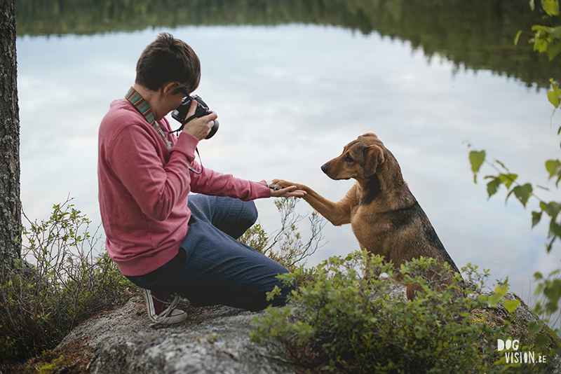 Pet Business Questions: connecting with ideal client, www.DOGvision.eu