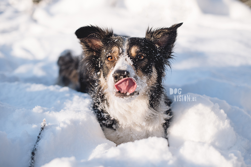 #TongueOutTuesday (09), Fenne Kustermans DOGvision.eu