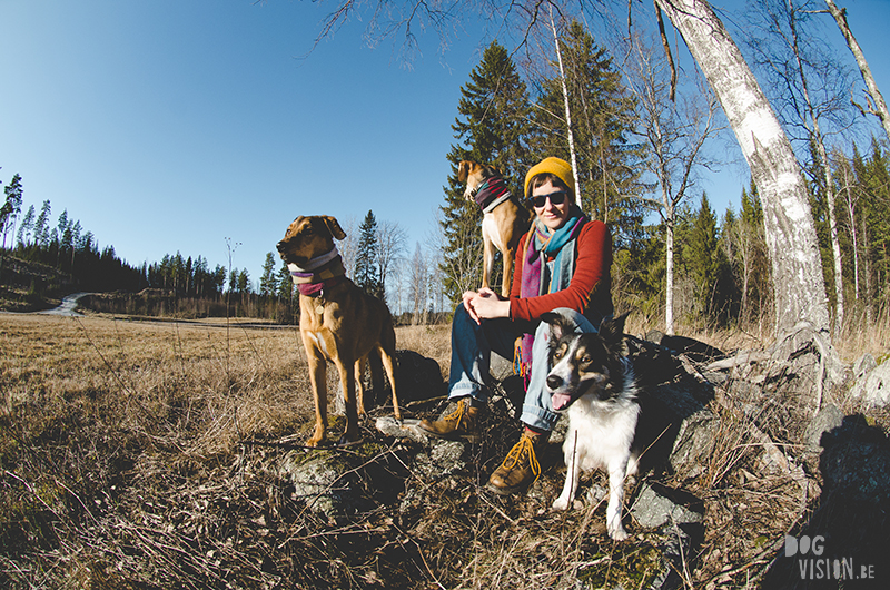 #TongueOutTuesday (08), Fenne Kustermans hondenfotografie, honden in Zweden, Dalarna, lifestyle hondenfotografie, www.DOGvision.be