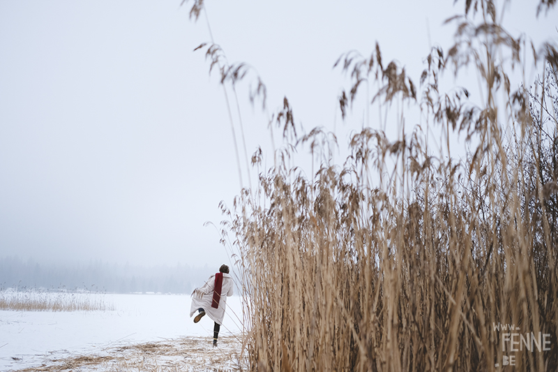 Fujifilm x-t4 performance during Swedish/Nordic winter & dog photography, www.DOGvision.eu