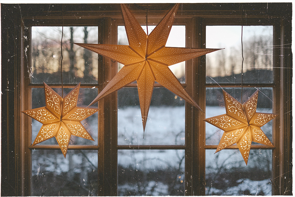 Dog photography www.DOGvision.eum/ nordic winter christmas home interior with stars.
