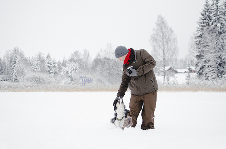 #TongueOutTuesday (05) | honden blog uit Zweden | www.DOGvision.be