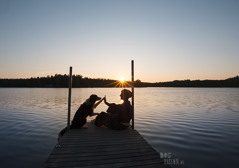 Fenne Kustermans hondenfotografie, fotografie Dalarna Zweden, wandelen met honden in Zweden, Belgen in Zweden, www.DOGvision.be