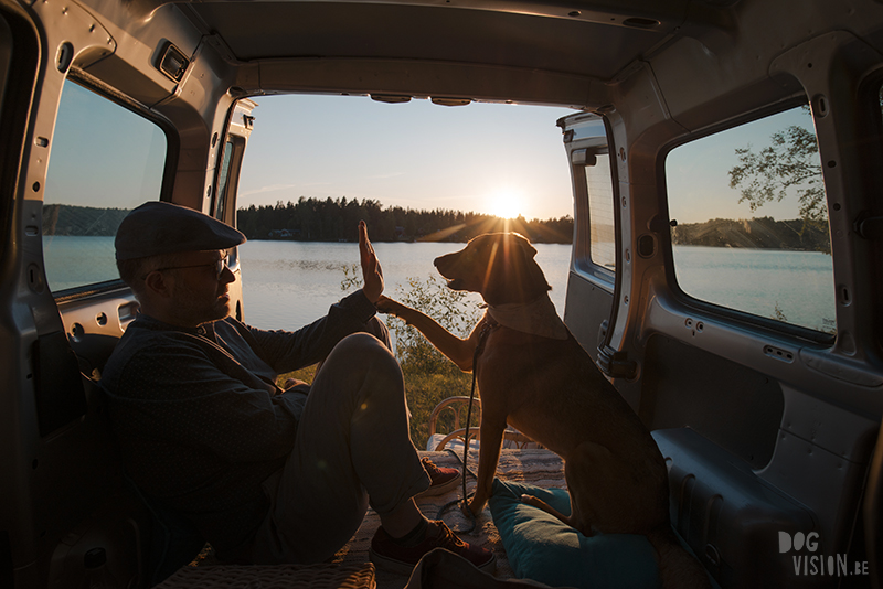 Fenne Kustermans hondenfotografie, fotografie Dalarna Zweden, wandelen met honden in Zweden, Belgen in Zweden, www.DOGvision.be