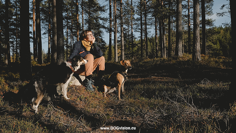 Dog photography tips for hiking/adventure dog photography, outdoors, www.DOGvision.eu