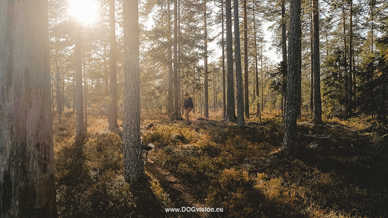 Dog photography tips for hiking/adventure dog photography, outdoors, www.DOGvision.eu