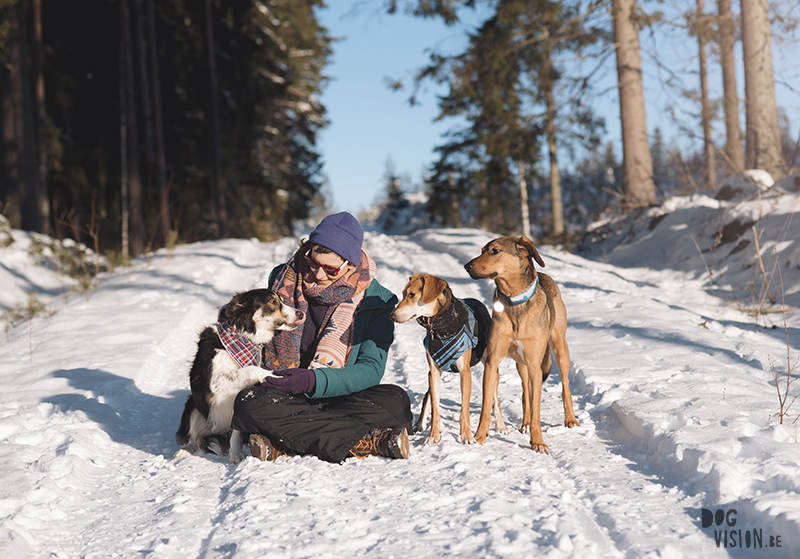 dog blogger and photography, hiking with dogs in Sweden, www.DOGvision.eu