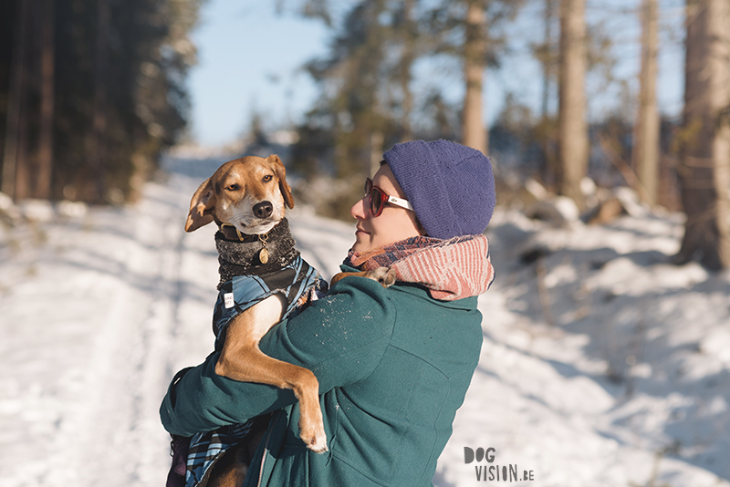 honden in Zweden, verhuizen naar Zweden, wandelen met honden in Zweden, hondenfotografie, commerciele hondenfotografie, hondenblog, www.DOGvision.be