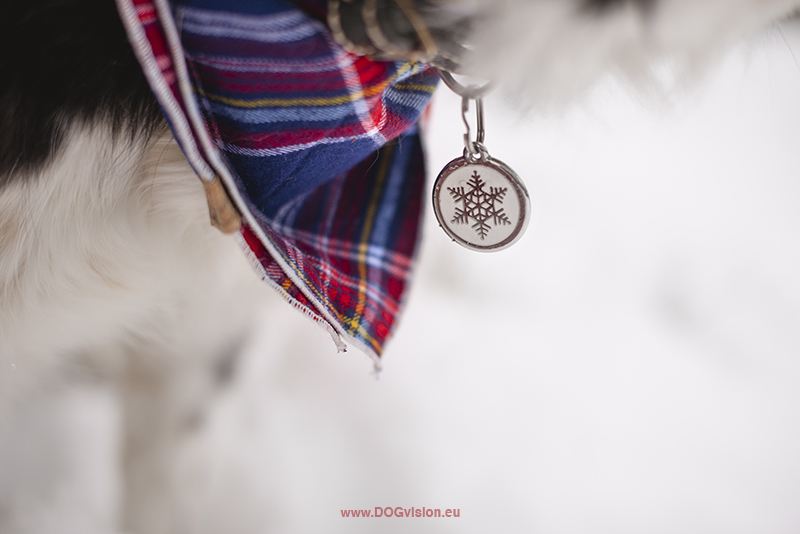 Red Dingo dog tag with snowflake, fun dog ID tag, www.DOGvision.eu