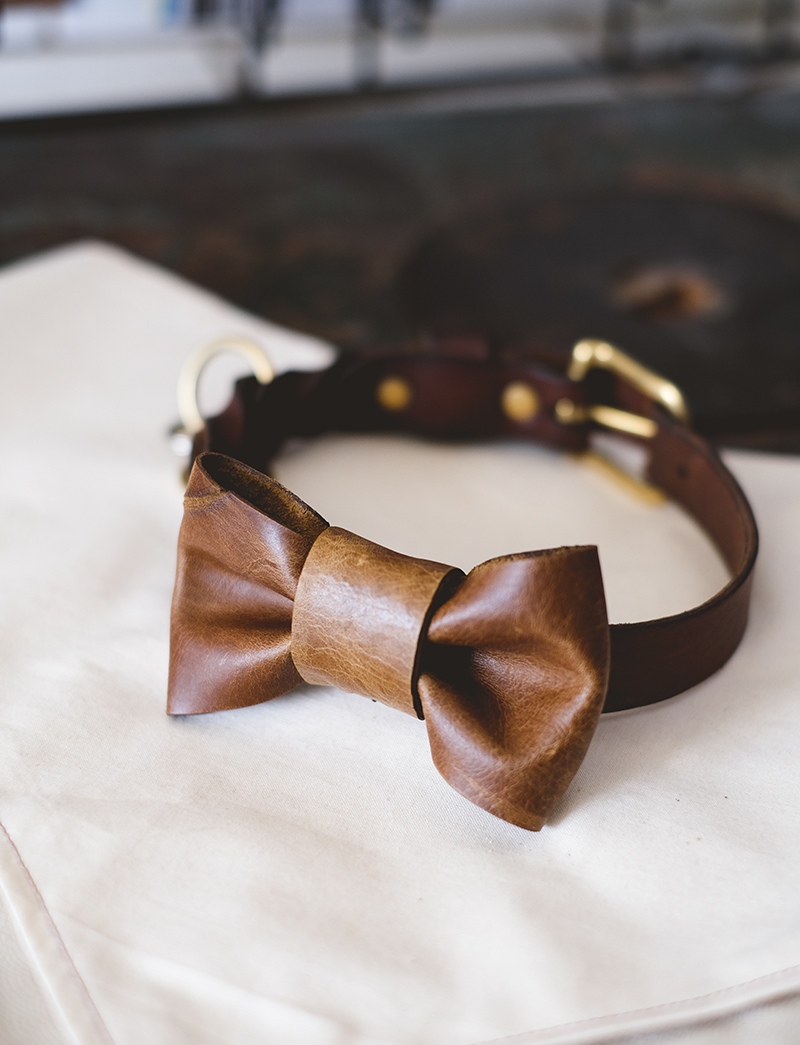 DIY leather bow tie for dogs, www.DOGvision.eu