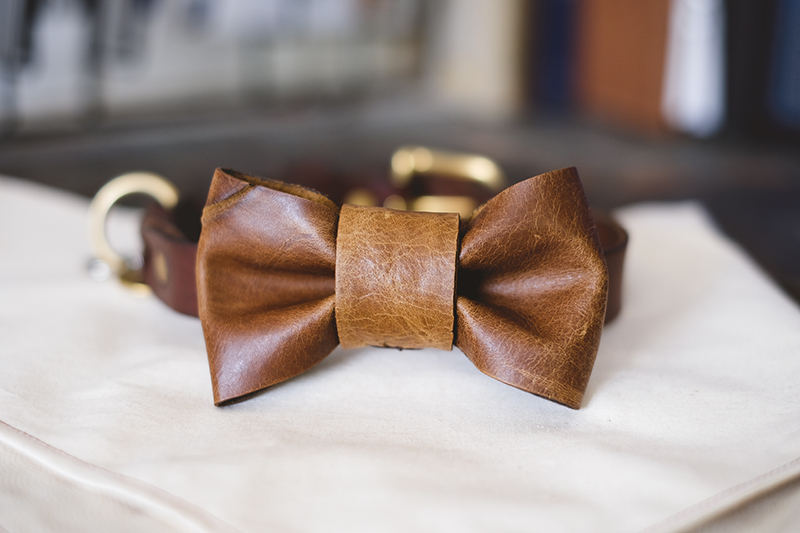 DIY leather bow tie for dogs, www.DOGvision.eu