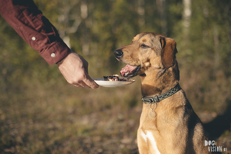 #TongueOutTuesday (39), www.DOGvision.eu