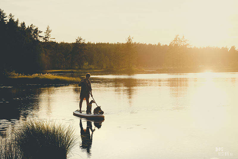 Paddlebord with dog, Sweden, dog photographer Europe, rescue dog, www.dogvision.eu