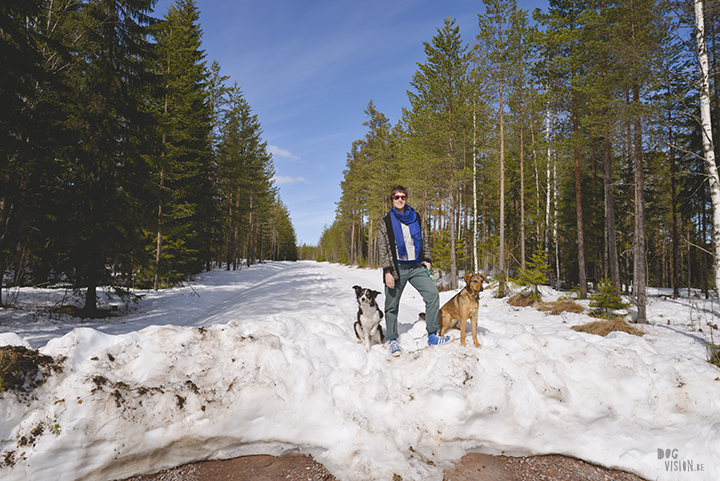 Airbnb huis in Ljusdal, Gävleborg, reizen met honden in Zweden, hondenfotografie, www.DOGvision.be