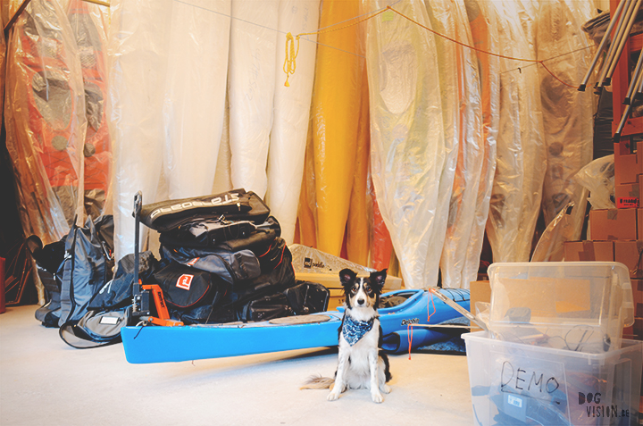 Kayak shop Sweden | adventure with dogs | blog on www.DOGvision.be